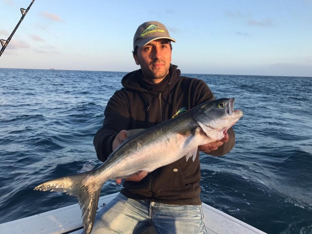  A beautiful preda pescata 