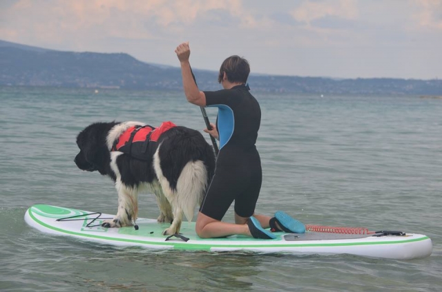  Paddling on the lake in company 