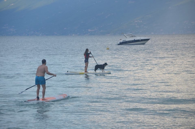  In paddle with our 4-legged friends 