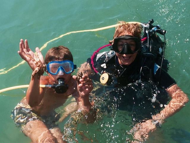 Immersioni con la stella marina