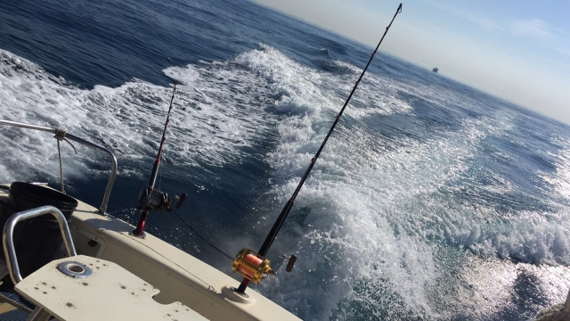 e-19742269-pesca-a-traina15006566869249.jpg