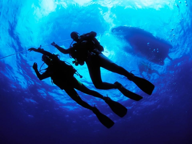  Dive en pares 