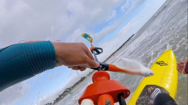  Kite fun 