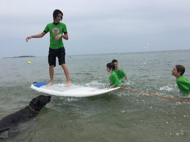  Little Surfers 