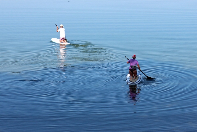  Apprendre les bases du Paddle Surf 