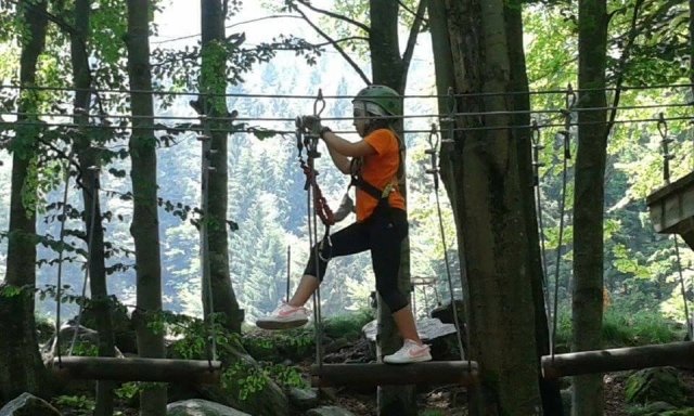 Tra gli alberi del biellese