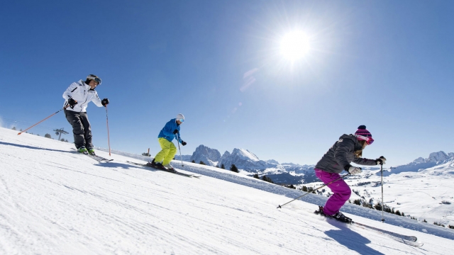  ein Ski in Gesellschaft