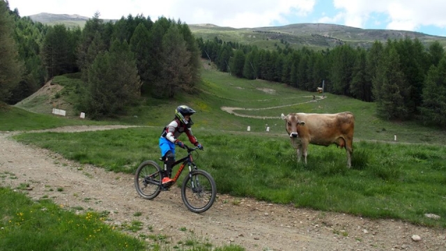  pour les plus petits 