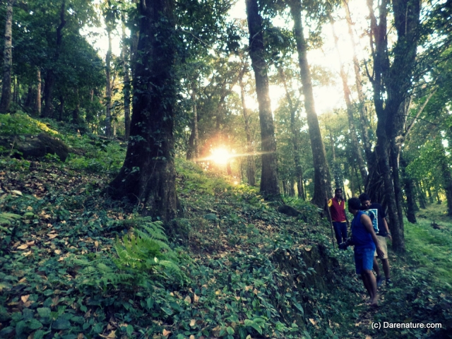 Nuestro bosque 