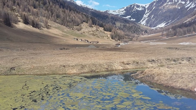  La vallée sans neige 