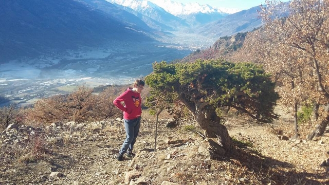 Un bonsai natural encontrado durante el trekking 