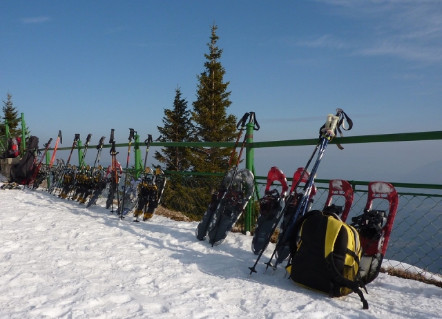 e-19742816-snow-shoes-114722-960-72015023791437715.jpg