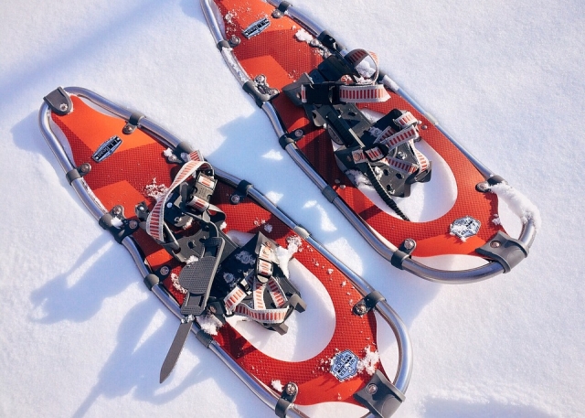 e-19742816-snowshoe-1983134-960-72015023791442486.jpg