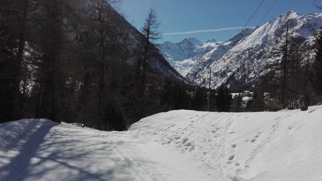  Pistes de ski de fond 