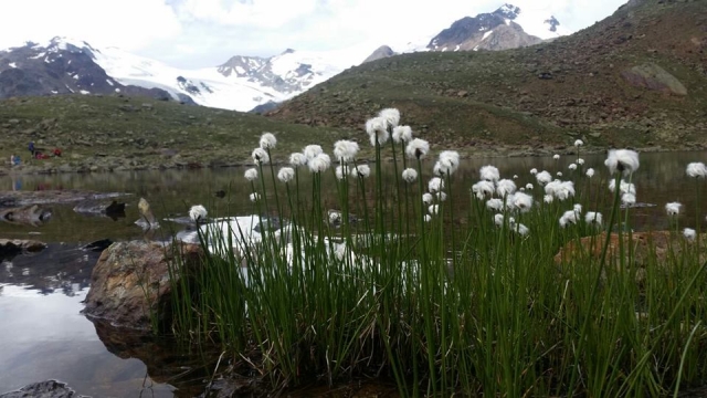 Escursioni lungo i versanti