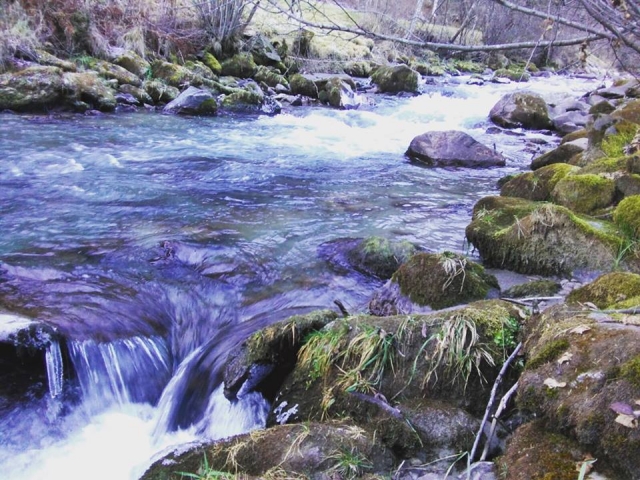Torrente in val di sole