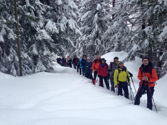 Immersi nei boschi innevati