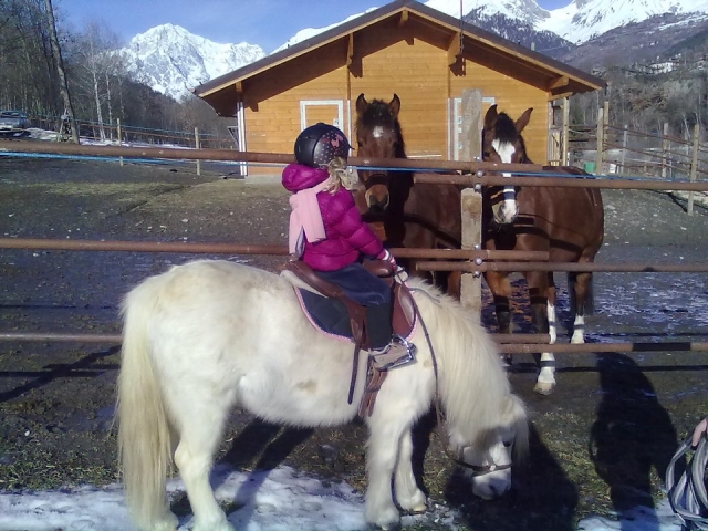 Os Ponys para os pequenos 