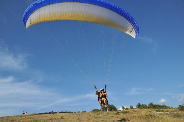  soar in flight 