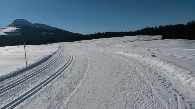  präparierte Pisten 
