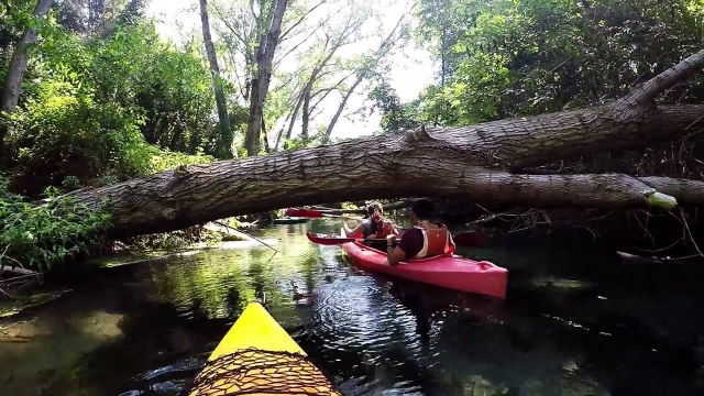 ostacoli da superare