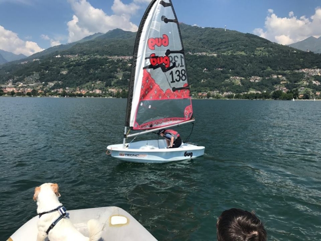  Aprendiendo los movimientos principales 