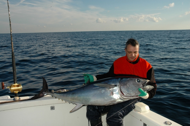 one tuna