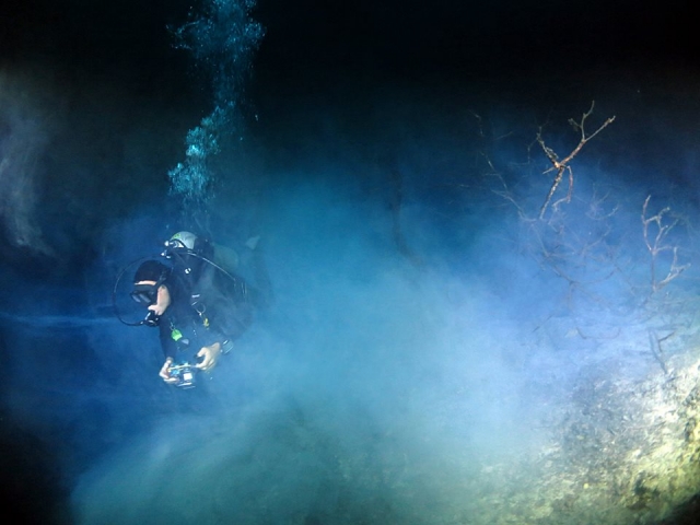  Uma caminhada no fundo do mar 