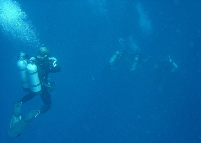  a group of diving 
