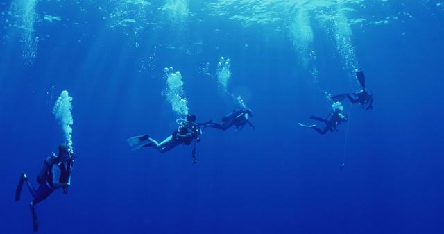  persi nel profondo blu 