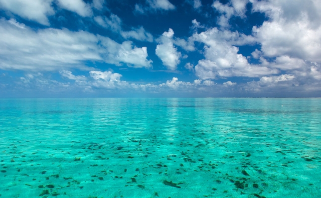 the crystalline waters that surround us