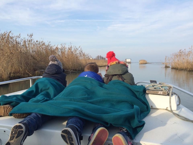 在河上乘船游览