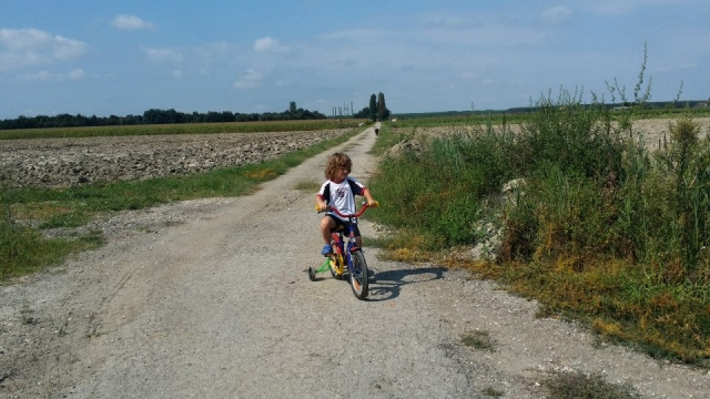 甚至小孩子都骑自行车