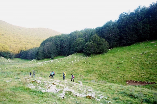  Naturwanderungen 