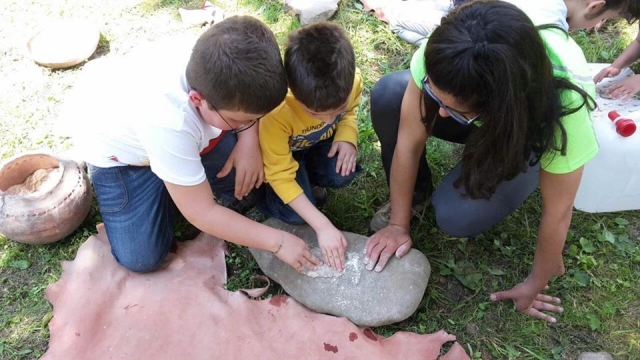  Activita para niños 