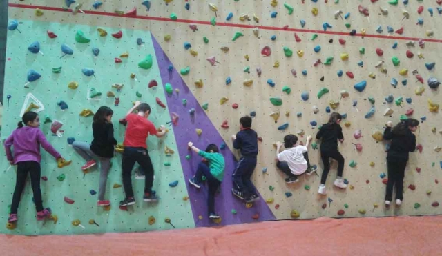 e-19743332-palestra-di-roccia-215042673712360.jpg