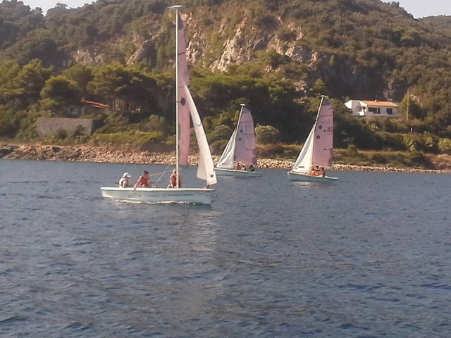  en Optimist 