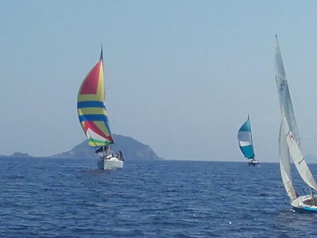 Excursiones de botes 