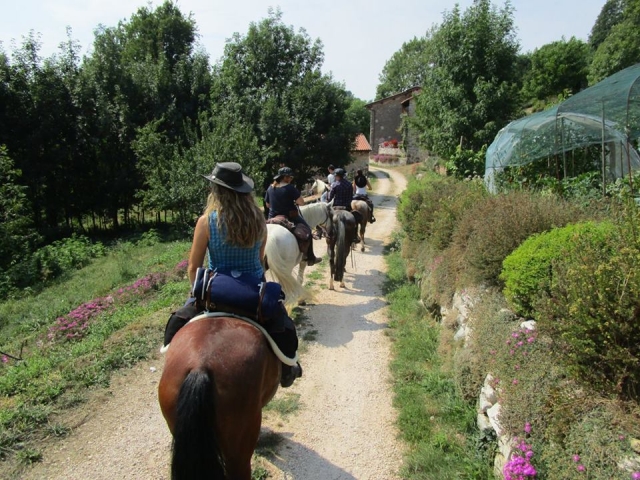  group excursions 