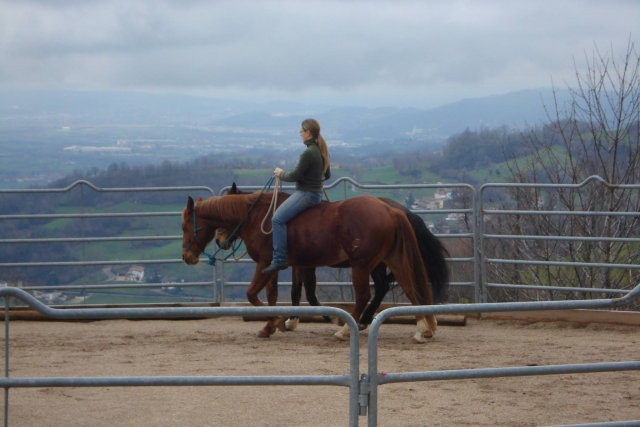  Girotondo on horseback 