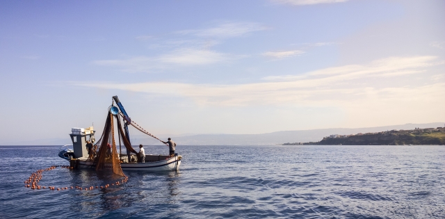  long fishing in tropea 