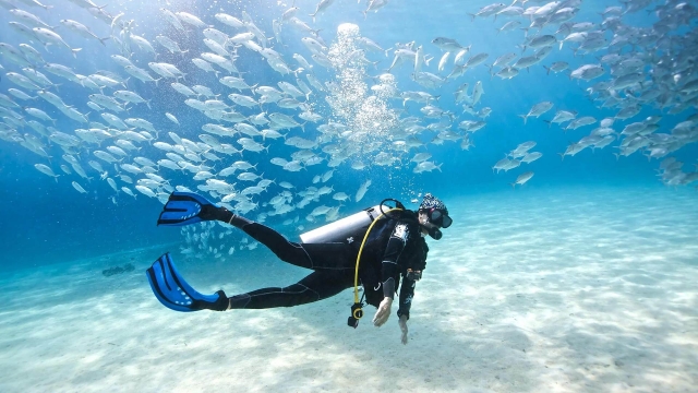  émotions sous-marines 
