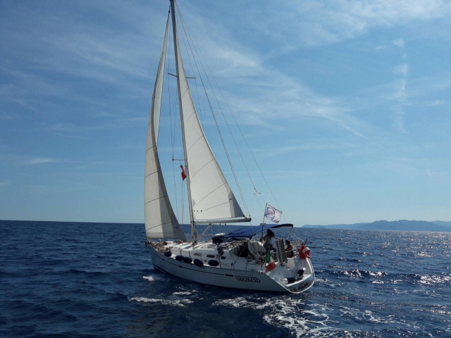  sailing boat trips 