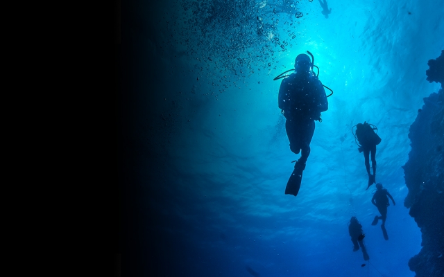  images from the bottom 