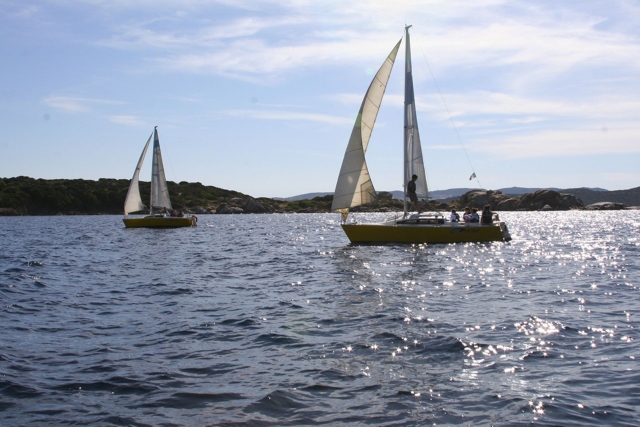  La vela siempre le gusta 