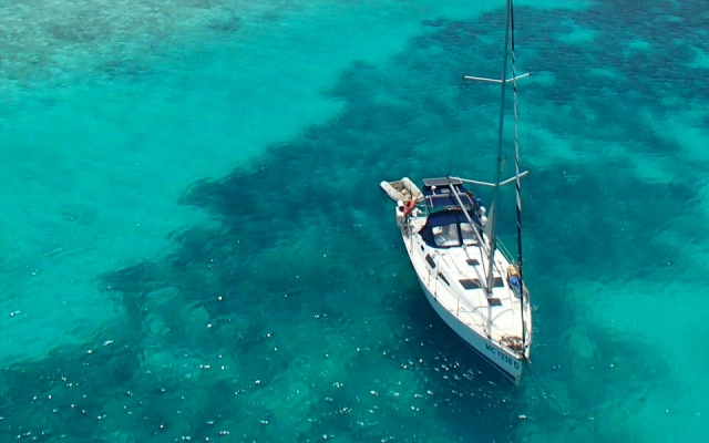 In pausa sull'azzurro Mar