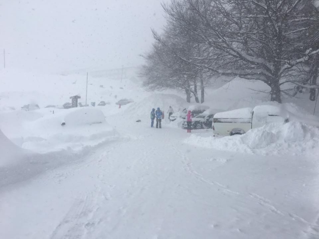  完美的滑雪日 