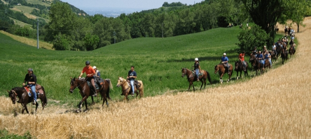 le nostre passeggiate a cavallo
