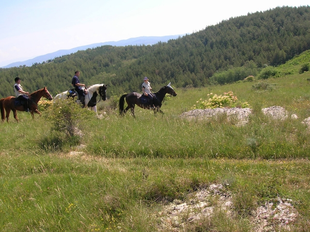 vieni e divertiti in sella