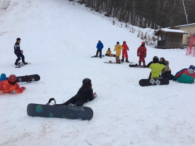  所有级别的课程 